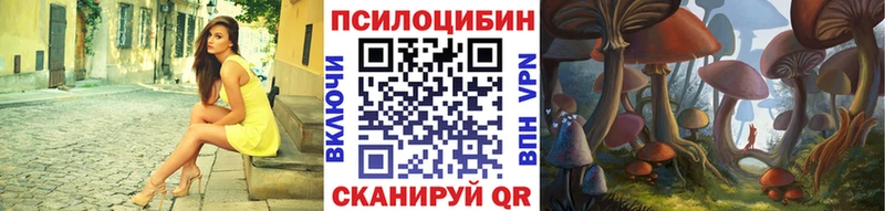 Псилоцибиновые грибы GOLDEN TEACHER  Купить  Куртамыш 