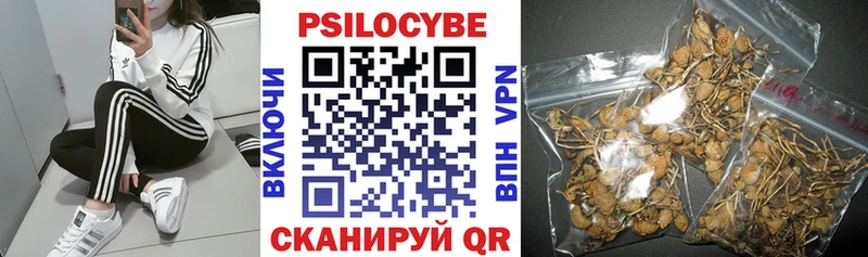 Псилоцибиновые грибы MAGIC MUSHROOMS Куртамыш